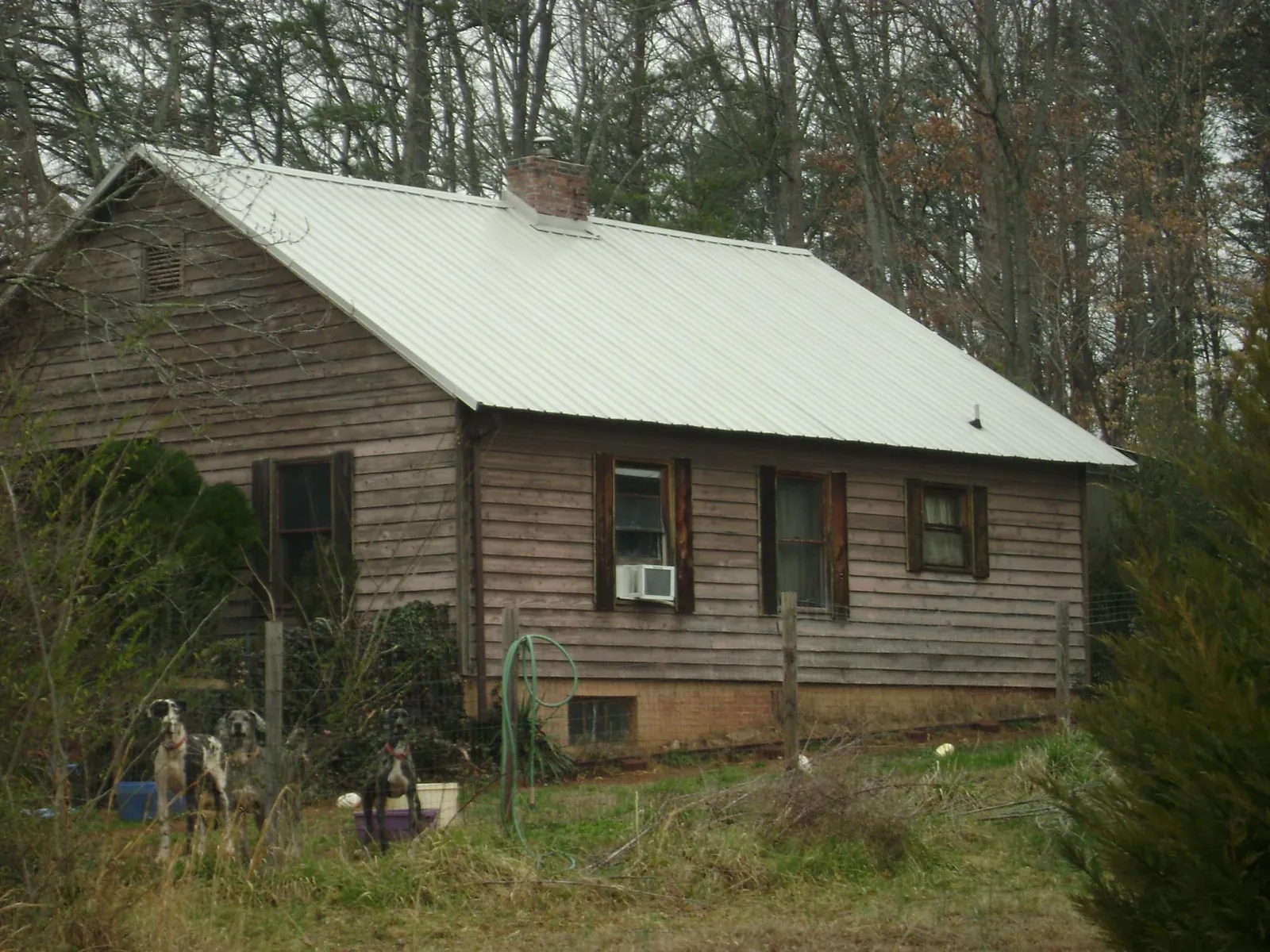 White metal roof on an old wood sided farmhouse, from a Asphalt Shingle Roof Repair job in Madisonburg